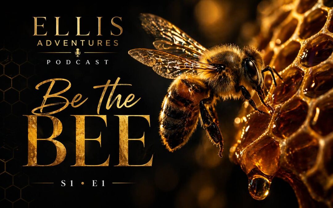 S1-E1:  Be the Bee