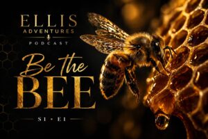 S1-E1:  Be the Bee episode artwork